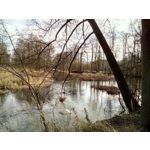 Zdjęcia użytkowników Oukitel K10000