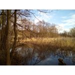 Zdjęcia użytkowników Oukitel K10000