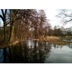 Zdjęcia użytkowników Oukitel K10000