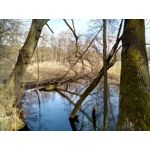 Zdjęcia użytkowników Oukitel K10000