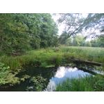 Zdjęcia użytkowników Oukitel WP35