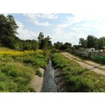 Zdjęcia użytkowników Oukitel WP35