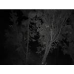 Zdjęcia użytkowników Oukitel WP35