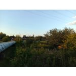 Zdjęcia użytkowników Oukitel WP35