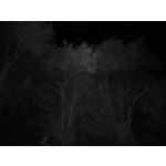 Zdjęcia użytkowników Oukitel WP35