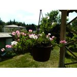 Zdjęcia użytkowników Oukitel WP35