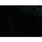 Zdjęcia użytkowników Oukitel WP35