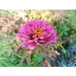 Zdjęcia użytkowników Oukitel WP35