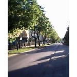 Zdjęcia użytkowników Overmax Vertis 1810 Kern Zdjęcia użytkowników Overmax Vertis 1810 Kern