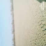 ZDJĘCIA Z TEGO TELEFONU