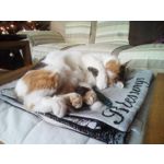 ZDJĘCIA Z TEGO TELEFONU