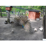 Zdjęcia użytkowników Overmax Vertis Aim Zdjęcia użytkowników Overmax Vertis Aim