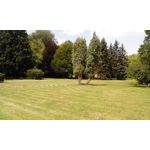 Zdjęcia użytkowników Overmax Vertis Aim Zdjęcia użytkowników Overmax Vertis Aim