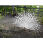 Zdjęcia użytkowników Overmax Vertis Aim Zdjęcia użytkowników Overmax Vertis Aim