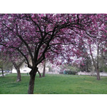 Zdjęcia użytkowników Overmax Vertis Aim Zdjęcia użytkowników Overmax Vertis Aim