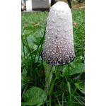 Zdjęcia użytkowników Overmax Vertis Aim Zdjęcia użytkowników Overmax Vertis Aim