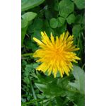 Zdjęcia użytkowników Overmax Vertis Aim Zdjęcia użytkowników Overmax Vertis Aim