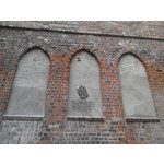 Zdjęcia użytkowników Overmax Vertis Aim Zdjęcia użytkowników Overmax Vertis Aim