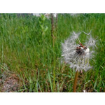 Zdjęcia użytkowników Overmax Vertis Aim Zdjęcia użytkowników Overmax Vertis Aim