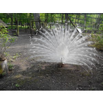 Zdjęcia użytkowników Overmax Vertis Aim Zdjęcia użytkowników Overmax Vertis Aim