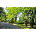 Zdjęcia użytkowników Overmax Vertis Aim Zdjęcia użytkowników Overmax Vertis Aim