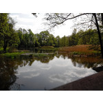 Zdjęcia użytkowników Overmax Vertis Aim Zdjęcia użytkowników Overmax Vertis Aim