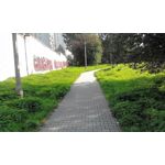 Zdjęcia użytkowników Overmax Vertis Aim Zdjęcia użytkowników Overmax Vertis Aim