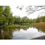 Zdjęcia użytkowników Overmax Vertis Aim Zdjęcia użytkowników Overmax Vertis Aim