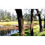 Zdjęcia użytkowników Overmax Vertis Aim Zdjęcia użytkowników Overmax Vertis Aim