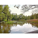 Zdjęcia użytkowników Overmax Vertis Aim Zdjęcia użytkowników Overmax Vertis Aim