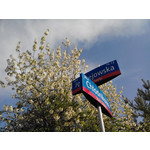 Zdjęcia użytkowników Overmax Vertis Aim Zdjęcia użytkowników Overmax Vertis Aim