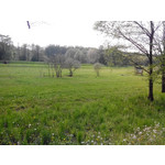 Zdjęcia użytkowników Overmax Vertis Aim Zdjęcia użytkowników Overmax Vertis Aim