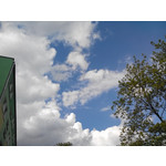 Zdjęcia użytkowników Overmax Vertis Aim Zdjęcia użytkowników Overmax Vertis Aim