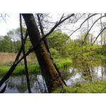 Zdjęcia użytkowników Overmax Vertis Aim Zdjęcia użytkowników Overmax Vertis Aim