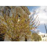 Zdjęcia użytkowników Overmax Vertis Aim Zdjęcia użytkowników Overmax Vertis Aim