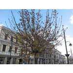 Zdjęcia użytkowników Overmax Vertis Aim Zdjęcia użytkowników Overmax Vertis Aim