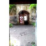 Zdjęcia użytkowników Overmax Vertis Aim Zdjęcia użytkowników Overmax Vertis Aim