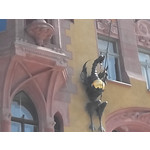 Zdjęcia użytkowników Overmax Vertis Aim Zdjęcia użytkowników Overmax Vertis Aim