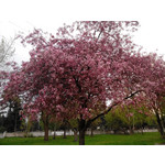 Zdjęcia użytkowników Overmax Vertis Aim Zdjęcia użytkowników Overmax Vertis Aim