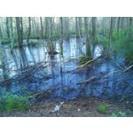 ZDJĘCIA Z TEGO TELEFONU