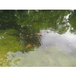 Zdjęcia użytkowników Overmax Vertis Expi