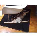 Zdjęcia użytkowników Overmax Vertis Expi