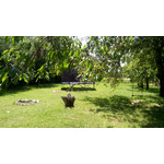 Zdjęcia użytkowników Overmax Vertis Plus