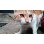 Zdjęcia użytkowników Overmax Vertis Yard