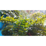 Zdjęcia użytkowników Overmax Vertis Yard