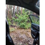 Zdjęcia użytkowników POCO F3