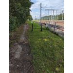 Zdjęcia użytkowników POCO F5