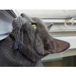 Zdjęcia użytkowników POCO X3 Pro