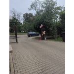 Zdjęcia użytkowników POCO X3 Pro