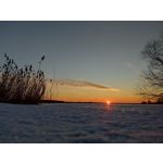 Zdjęcia użytkowników POCO X3 Pro